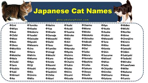 common cat names in japan|cute japanese names for cats.